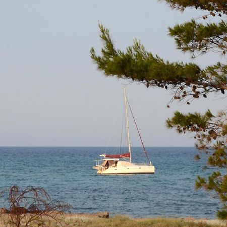 Appartamenti Fronte Mare シニスコーラ エクステリア 写真