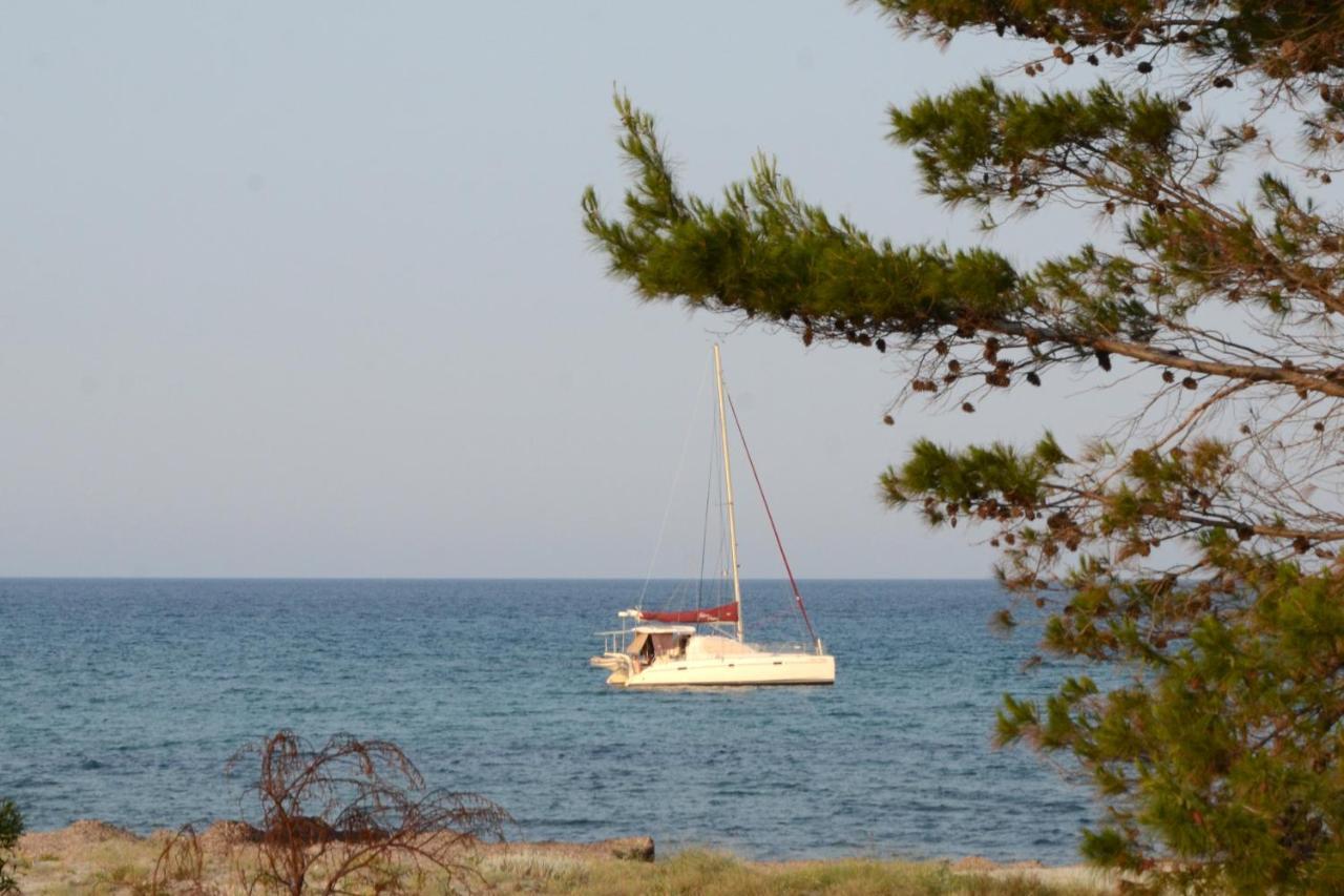 Appartamenti Fronte Mare シニスコーラ エクステリア 写真